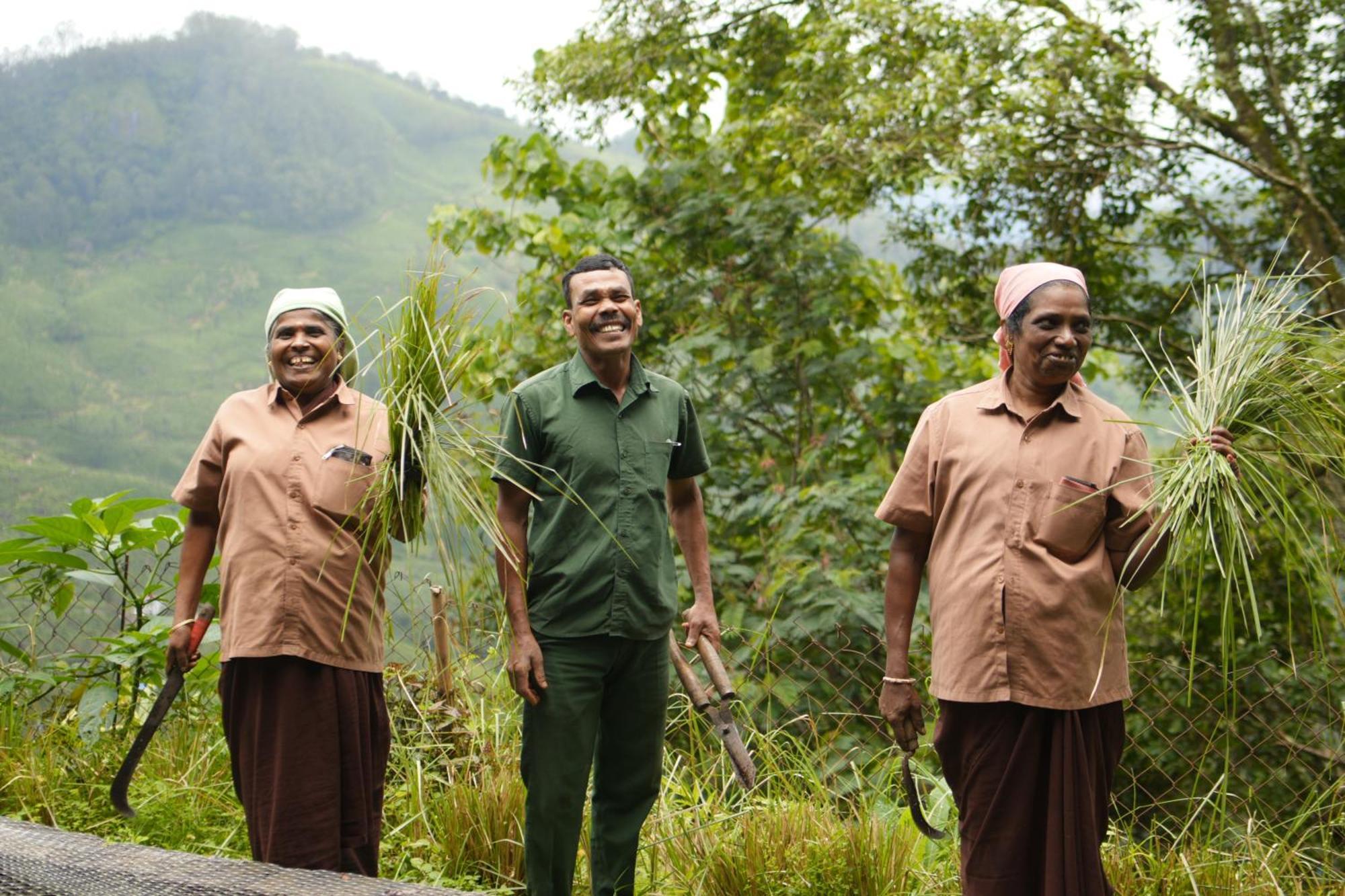 Blackberry Hills Munnar Nature Resort & Spa Buitenkant foto