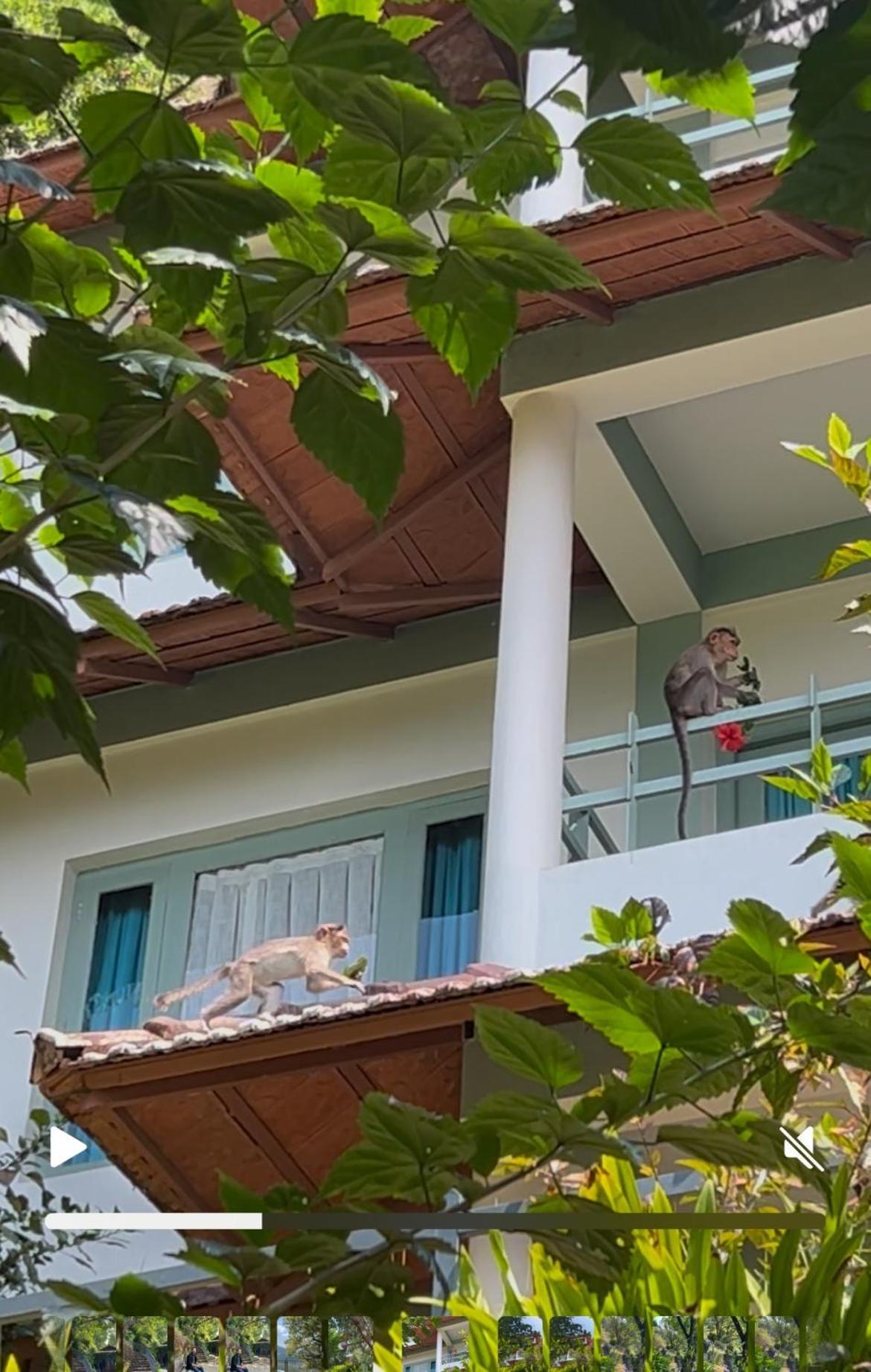Blackberry Hills Munnar Nature Resort & Spa Buitenkant foto