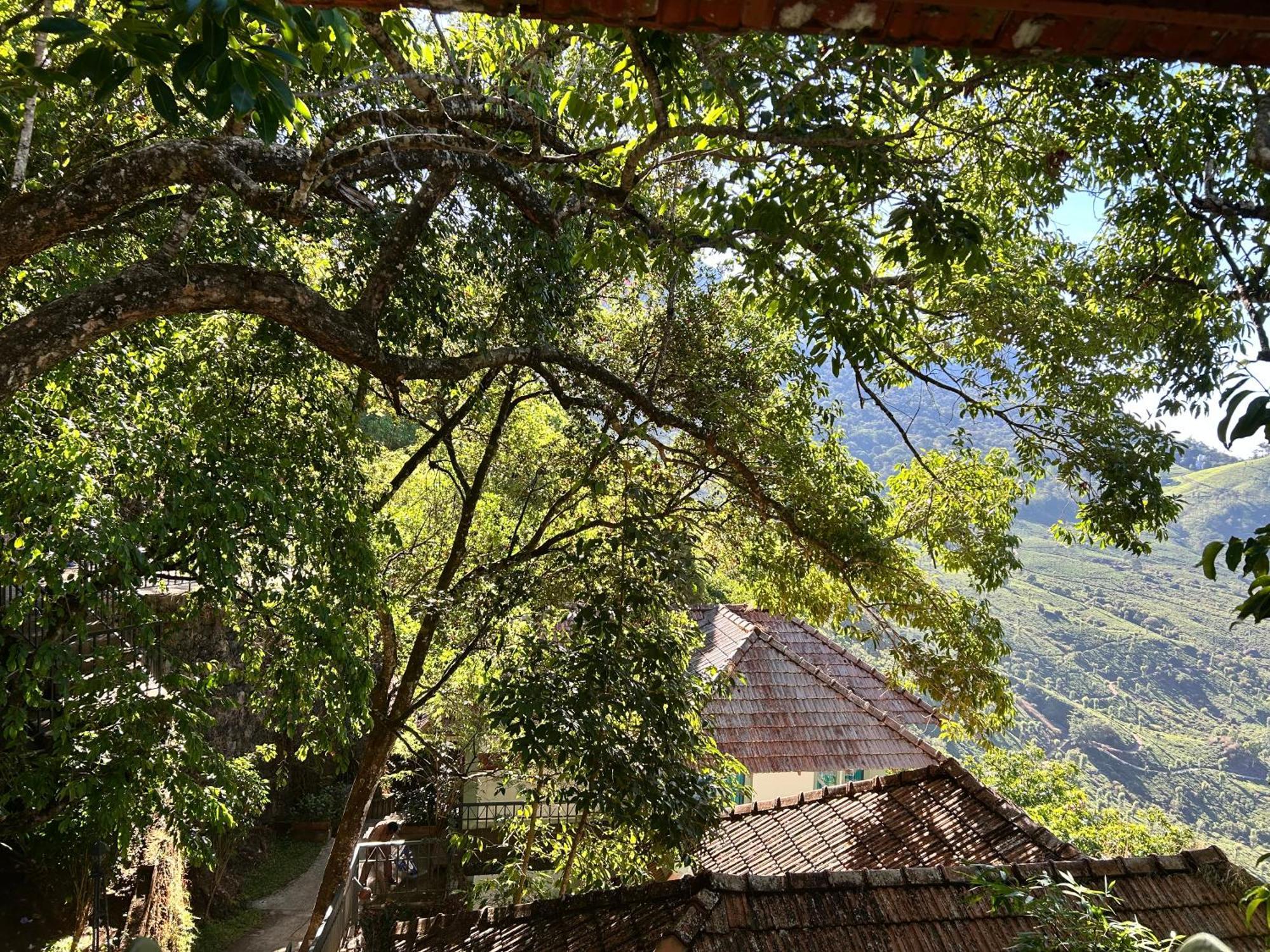 Blackberry Hills Munnar Nature Resort & Spa Buitenkant foto